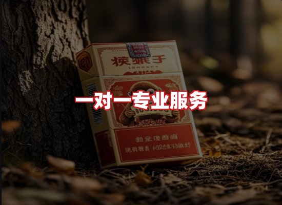 专业团队